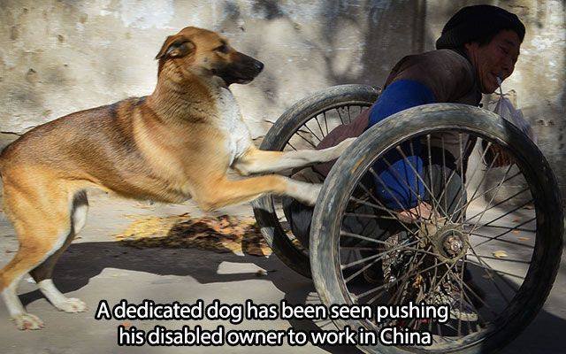 Bildschirmarbeiter - Picdump 12.02.2016