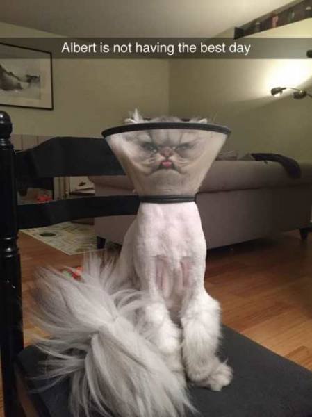 Bildschirmarbeiter - Picdump 12.02.2016