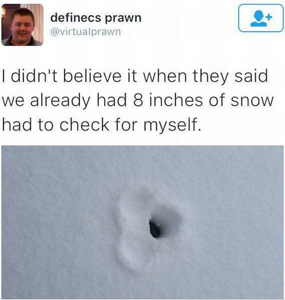 Bildschirmarbeiter - Picdump 12.02.2016