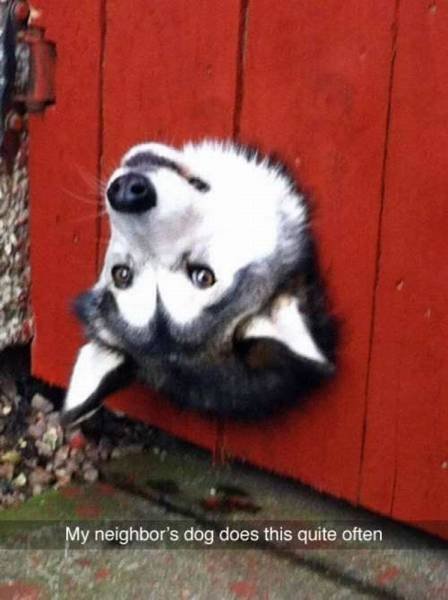 Bildschirmarbeiter - Picdump 12.02.2016