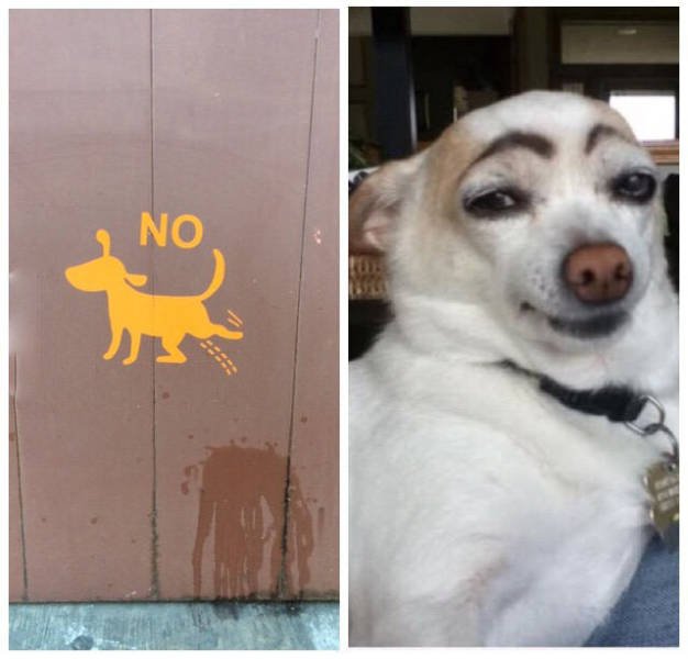 Bildschirmarbeiter - Picdump 12.02.2016