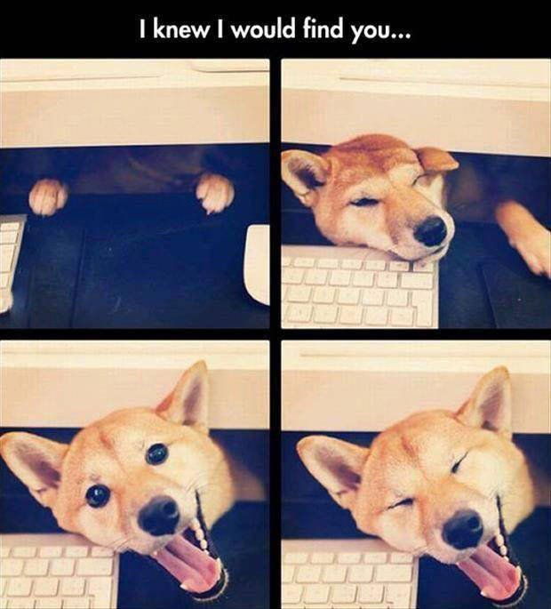 Bildschirmarbeiter - Picdump 12.02.2016