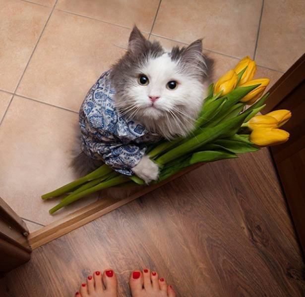 Bildschirmarbeiter - Picdump 12.02.2016