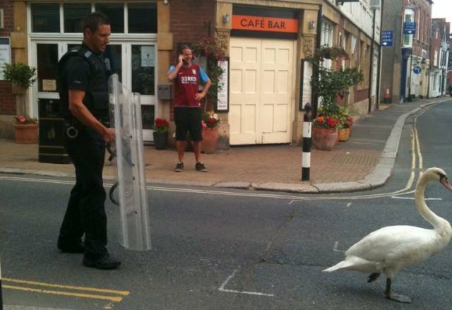 Bildschirmarbeiter - Picdump 12.02.2016