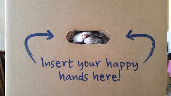 Bildschirmarbeiter - Picdump 12.02.2016