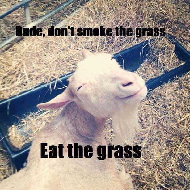 Bildschirmarbeiter - Picdump 19.02.2016