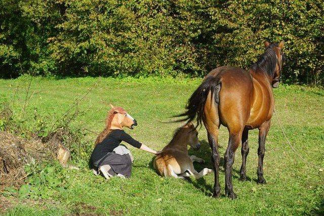 Bildschirmarbeiter - Picdump 19.02.2016