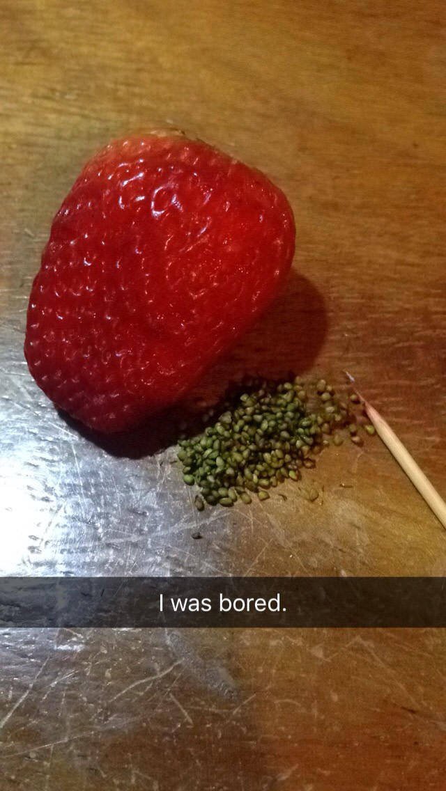 Bildschirmarbeiter - Picdump 19.02.2016