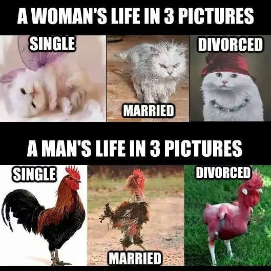 Bildschirmarbeiter - Picdump 19.02.2016