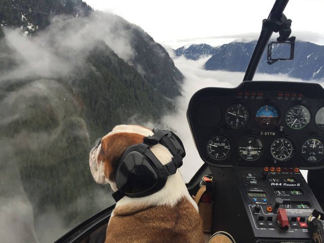 Bildschirmarbeiter - Picdump 19.02.2016