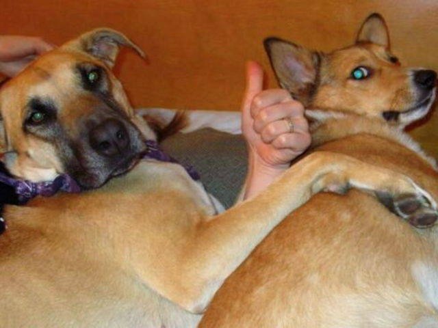 Bildschirmarbeiter - Picdump 19.02.2016