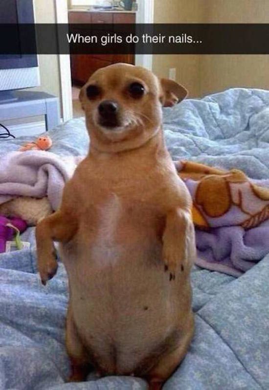 Bildschirmarbeiter - Picdump 19.02.2016