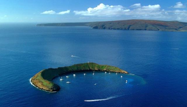 Bildschirmarbeiter - Picdump 26.02.2016