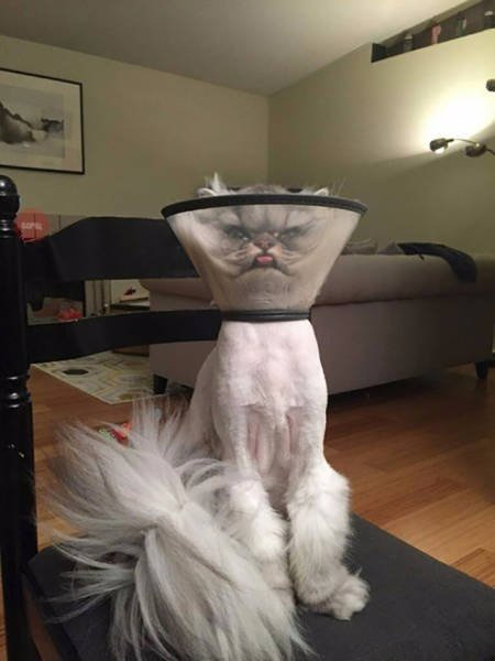 Bildschirmarbeiter - Picdump 26.02.2016