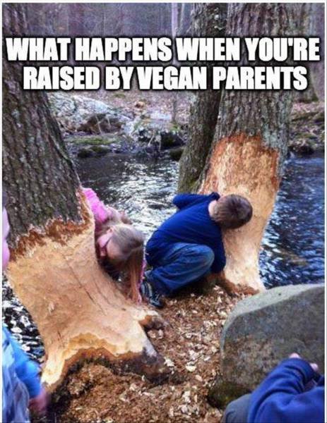 Bildschirmarbeiter - Picdump 26.02.2016