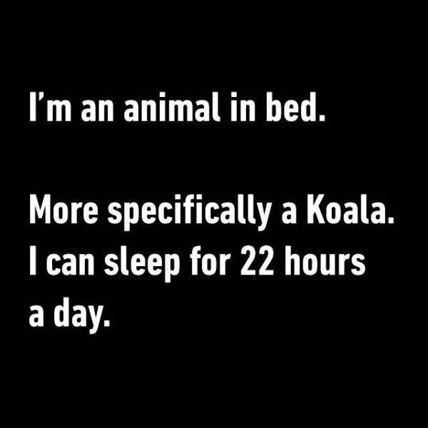 Bildschirmarbeiter - Picdump 26.02.2016