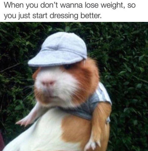 Bildschirmarbeiter - Picdump 26.02.2016