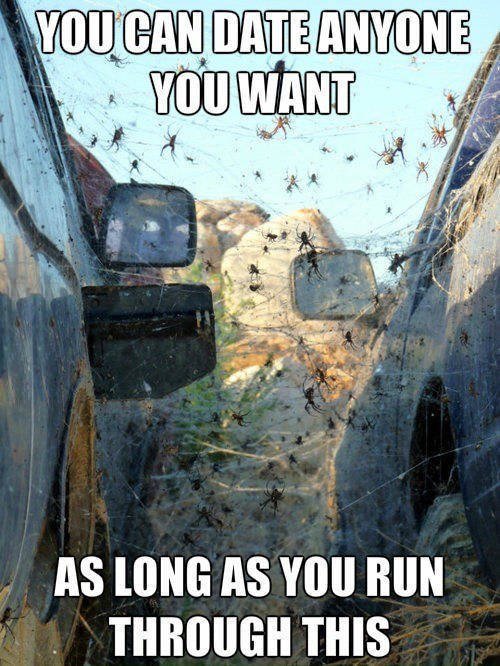 Bildschirmarbeiter - Picdump 26.02.2016