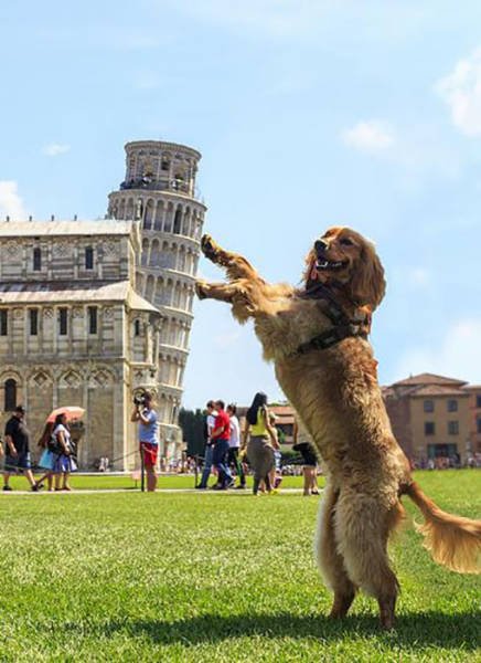 Bildschirmarbeiter - Picdump 26.02.2016