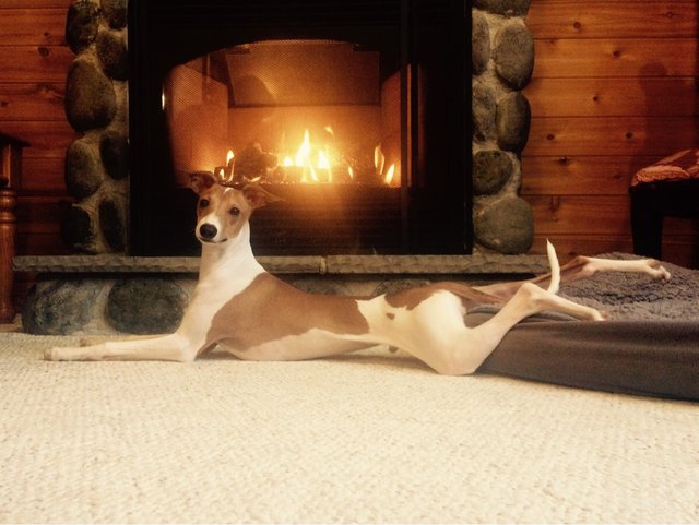 Bildschirmarbeiter - Picdump 26.02.2016