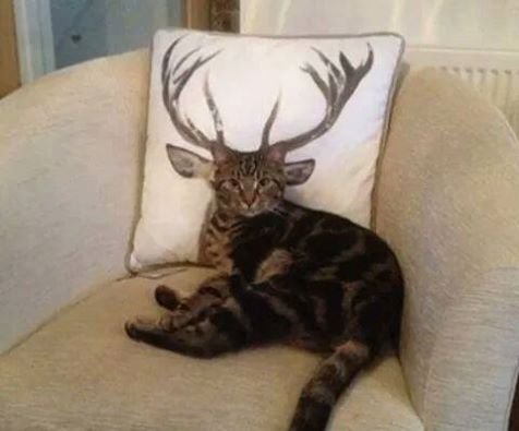 Bildschirmarbeiter - Picdump 26.02.2016