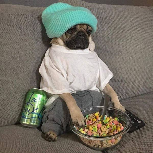 Bildschirmarbeiter - Picdump 04.03.2016