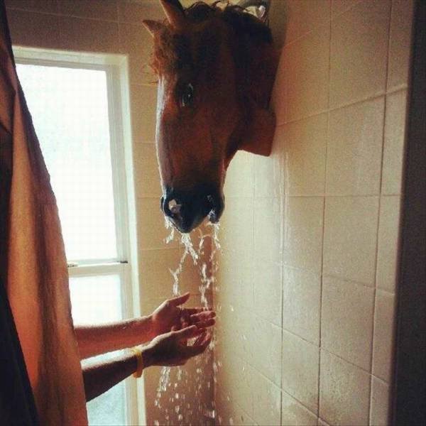 Bildschirmarbeiter - Picdump 04.03.2016