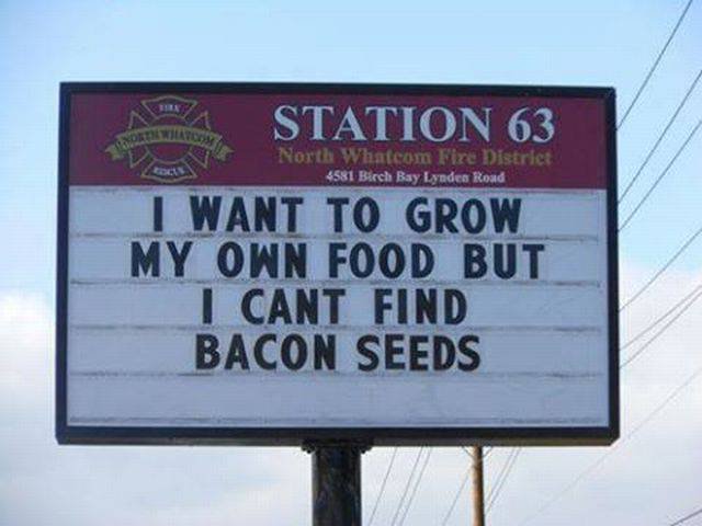 Bildschirmarbeiter - Picdump 04.03.2016