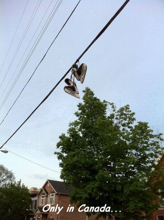 Bildschirmarbeiter - Picdump 04.03.2016