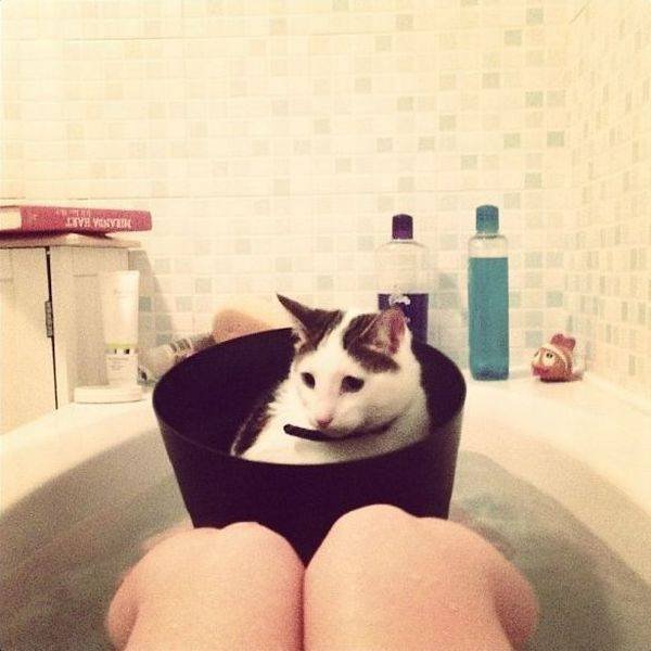 Bildschirmarbeiter - Picdump 04.03.2016