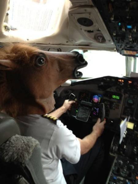 Bildschirmarbeiter - Picdump 04.03.2016