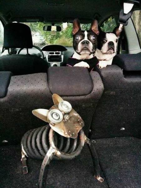 Bildschirmarbeiter - Picdump 04.03.2016