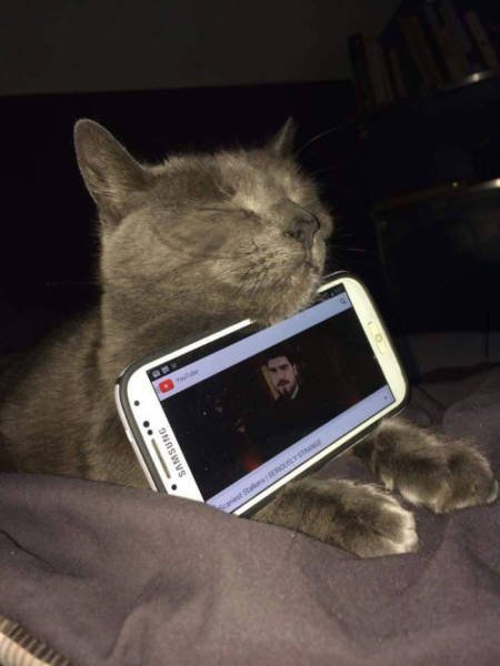 Bildschirmarbeiter - Picdump 04.03.2016