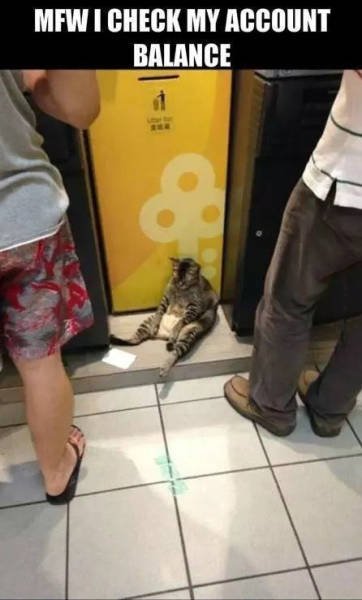 Bildschirmarbeiter - Picdump 04.03.2016