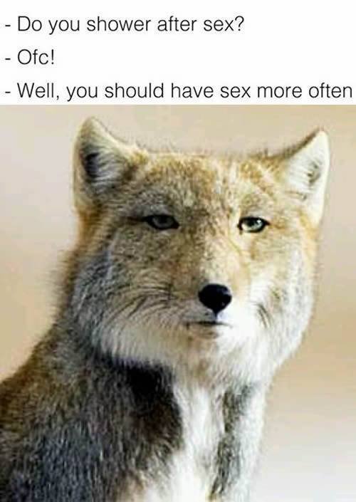 Bildschirmarbeiter - Picdump 04.03.2016