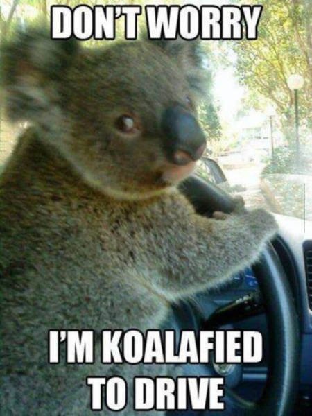 Bildschirmarbeiter - Picdump 04.03.2016