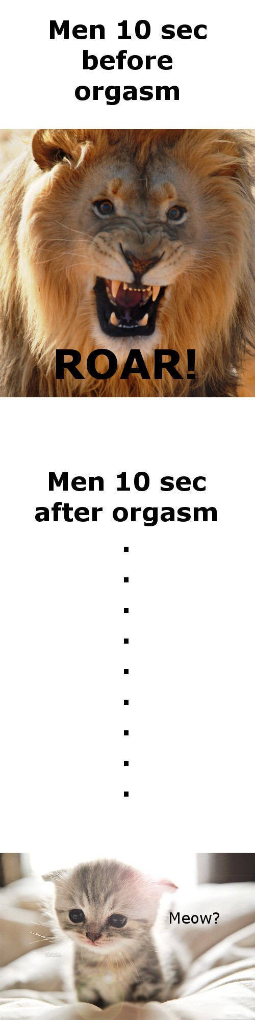 Bildschirmarbeiter - Picdump 04.03.2016