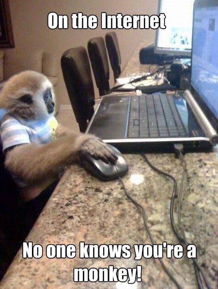 Bildschirmarbeiter - Picdump 04.03.2016