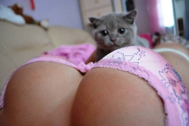 Bildschirmarbeiter - Picdump 04.03.2016