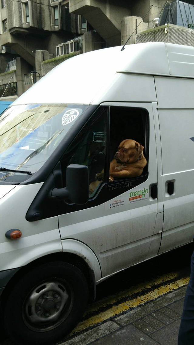 Bildschirmarbeiter - Picdump 04.03.2016