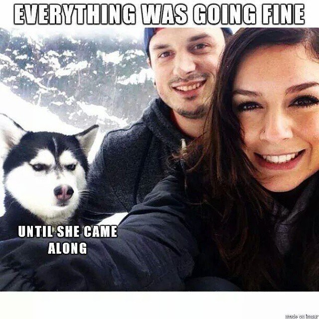 Bildschirmarbeiter - Picdump 25.03.2016