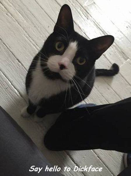 Bildschirmarbeiter - Picdump 25.03.2016