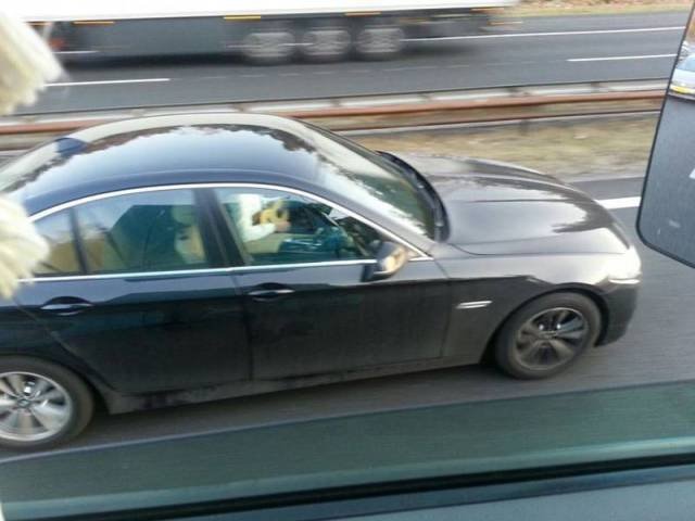 Bildschirmarbeiter - Picdump 25.03.2016