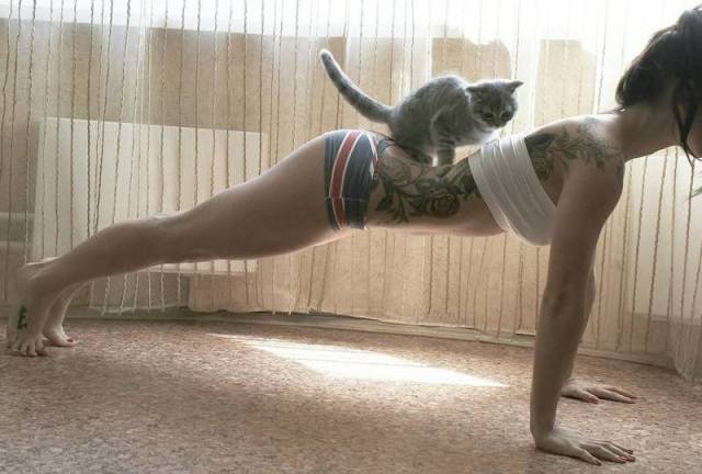 Bildschirmarbeiter - Picdump 25.03.2016