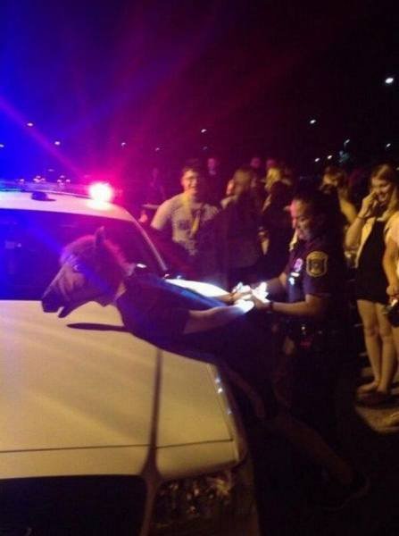 Bildschirmarbeiter - Picdump 25.03.2016