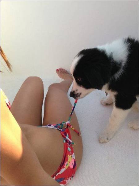 Bildschirmarbeiter - Picdump 25.03.2016