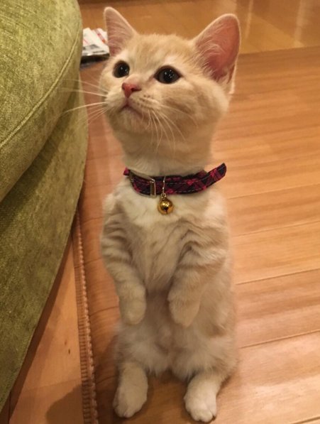 Bildschirmarbeiter - Picdump 25.03.2016