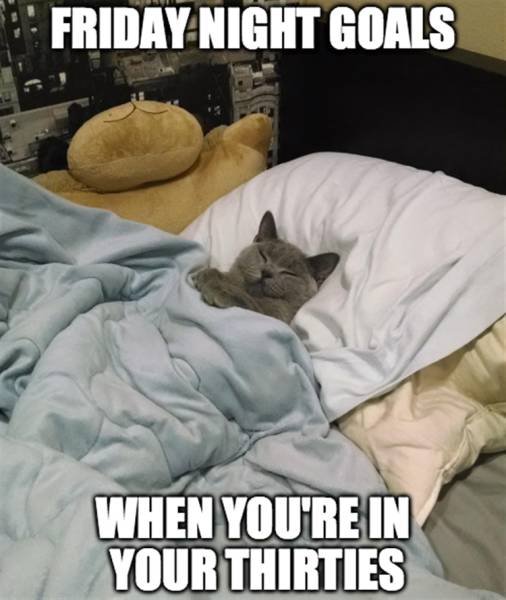 Bildschirmarbeiter - Picdump 25.03.2016