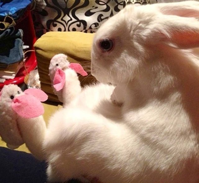 Bildschirmarbeiter - Picdump 25.03.2016