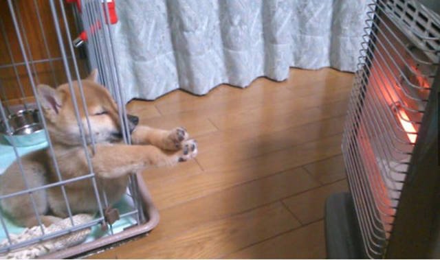 Bildschirmarbeiter - Picdump 25.03.2016